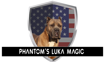 Phantoms-Luka-Magic